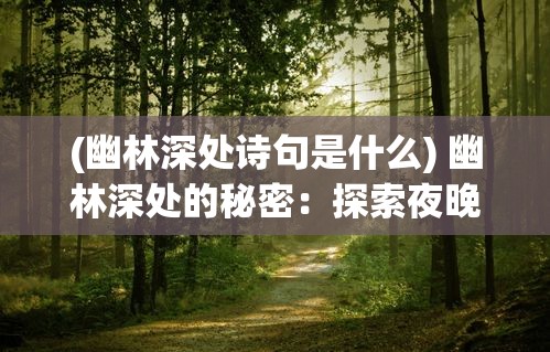 (幽林深处诗句是什么) 幽林深处的秘密：探索夜晚森林里的神秘与美丽，揭开隐藏的真相与奇迹